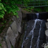 Уголок природы в городе. :: Наталья Вязигина