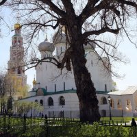 Новодевичий монастырь, собор, 1525г. :: ZNatasha -