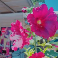 13  ОПЕН (88) :: OPEN WAYS ALL