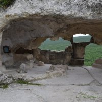 Природа Крыма :: Amazing Cosmea