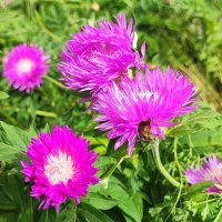 ,,, :: Сергей Тимоновский