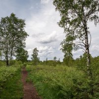 Вперёд... :: Николай Гирш