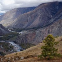 Долина реки Чулышман...Одинокая :: владимир 