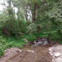 Talgar :: Murat Bukaev 