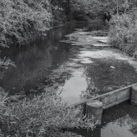 ***** :: юрий поляков