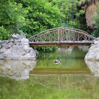 Прудик. :: Оля Богданович