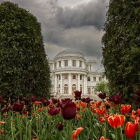 Елагин дворец :: skijumper Иванов