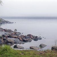 туман :: Ольга Cоломатина