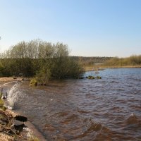 Токсово :: Наталья Герасимова