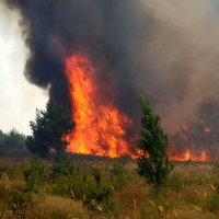 Природный пожар :: Андрей Л. В.