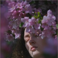 Весенний романтизм :: Алексей Хвастунов