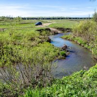 Змейка-реченька :: Андрей Щетинин