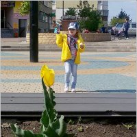 Когда тюльпаны были большими ... :: Сеня Белгородский