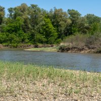 Река Кубань :: Игорь Сикорский