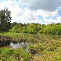 На весеннем пруду :: Андрей Снегерёв