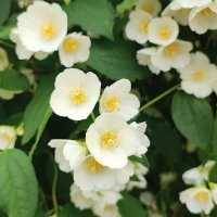 ,,, :: Сергей Тимоновский