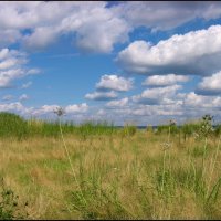 Берег Меши :: **** vedin