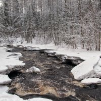 Линдуловская роща :: skijumper Иванов