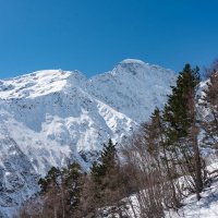 *** :: Дмитрий Лупандин