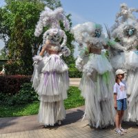 Албасты фееричные :: Татьяна Машошина