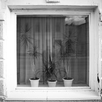 Назва. отсу. :: Денис Безногов