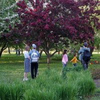 в Таврическом саду :: zavitok *