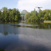 Таврический сад :: zavitok *