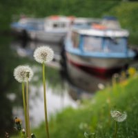 Здравствуй, лето. :: Магомед . Здравствуй, лето. :: Магомед .