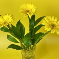 * :: Виктор Орехов