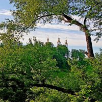 В зеленом обрамлении :: Vladimir Semenchukov