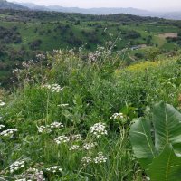 Ak Bulak. Talgar. :: Murat Bukaev 