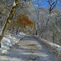 Солнечная осень...... :: Юрий Цыплятников