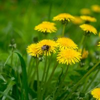 ___ :: Yuriy V ___ :: Yuriy V