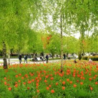 Добро пожаловать, Лето! :: Татьяна Помогалова Добро пожаловать, Лето! :: Татьяна Помогалова