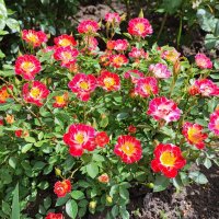 ,,, :: Сергей Тимоновский