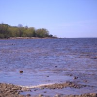 Блюдце Финского залива :: Танзиля Завьялова