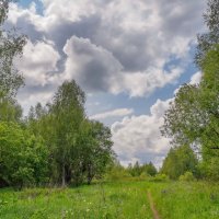 Первый день лета... :: Владимир Жданов