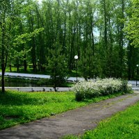 *** :: Александр 