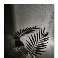 ... :: Елена Демидова 