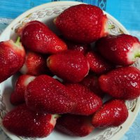 **** :: Алексей Архипов **** :: Алексей Архипов