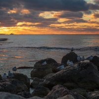 Вечер  на море :: Виктор 