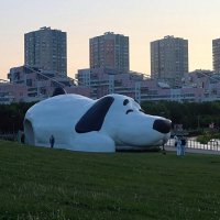 Чья собака? :: Дмитрий И_ Чья собака? :: Дмитрий И_