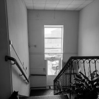 Ожидающий покупателей. :: Шурф Сьлядек Ожидающий покупателей. :: Шурф Сьлядек