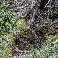 Затерянный :: Андрей Щетинин