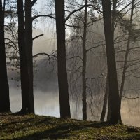 У озера...... :: Юрий Цыплятников