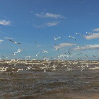 Первый день лета :: skijumper Иванов Первый день лета :: skijumper Иванов