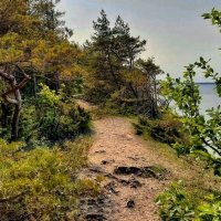 Saaremaa 010625m :: Arturs Ancans