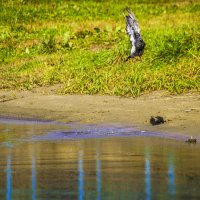 О-х фотограф, ЧО надо :: Владимир Максимов