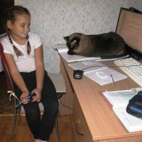 Мой кот Тима :: Наталья Петровна Власова Мой кот Тима :: Наталья Петровна Власова