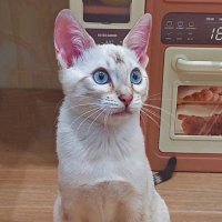 В нашем доме поселился замечательный сосед :: ИРЭН@ .